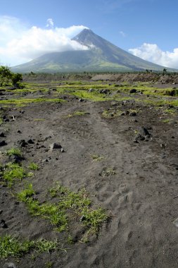 MT mayon