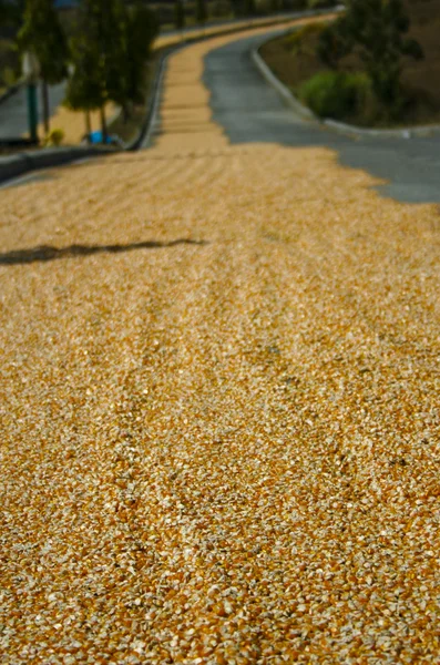 Carretera de grano — Foto de Stock