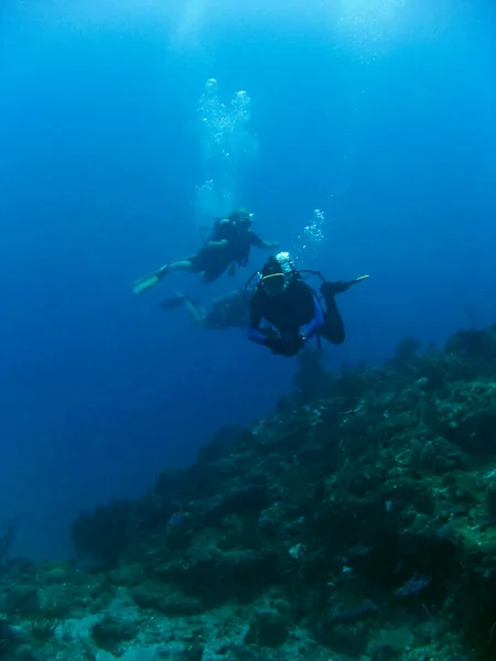 Plongeurs sous-marins — Photo