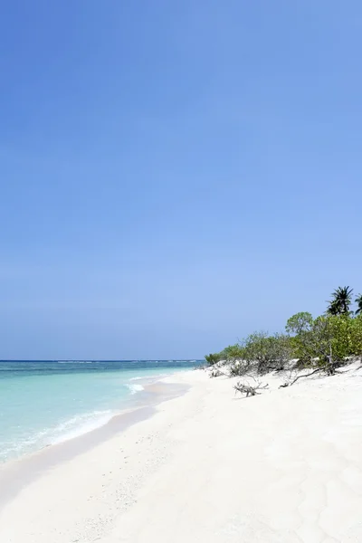 Issız bir ada beach — Stok fotoğraf