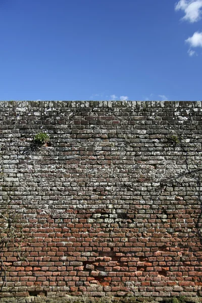 Tuğla duvar mavi gökyüzü arka plan — Stok fotoğraf