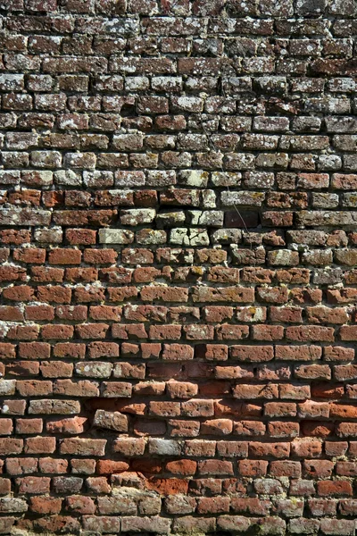 Старый кирпичный фон стены — стоковое фото