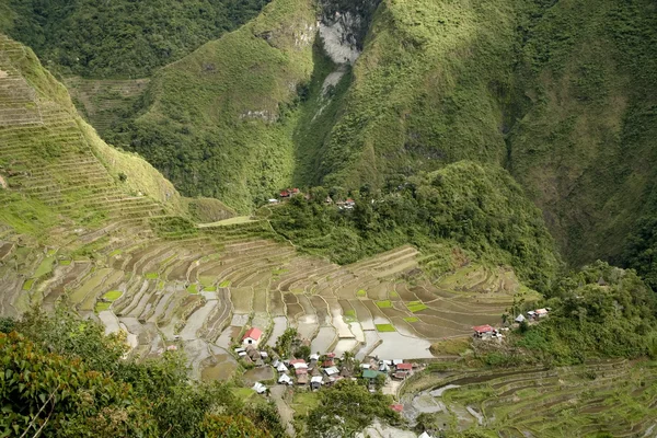 Ifugao op het eiland rijst terrassen batad — Stockfoto