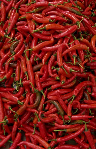Röda chiilis bakgrund — Stockfoto
