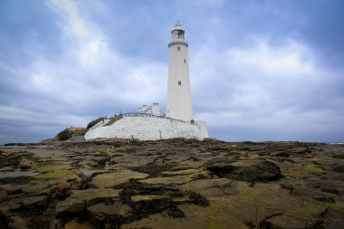 St marys deniz feneri whitley bay