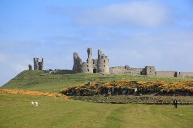 Dunstanburgh castle northumberland coast clipart