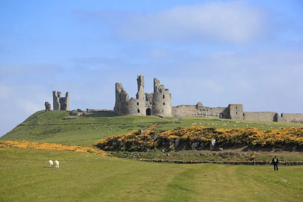 Dunstanburgh castle northumberland coast — Stock Photo, Image