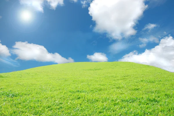 Grüne Felder und Himmel — Stockfoto