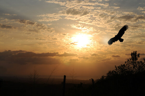 Волшебный рассвет
