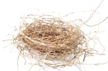 Bird's Nest clipart