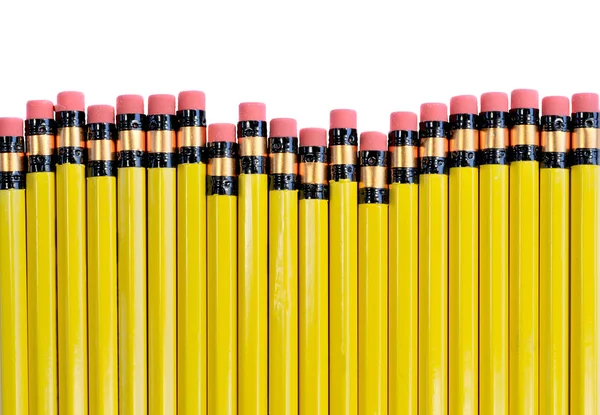 Желтые карандаши — стоковое фото