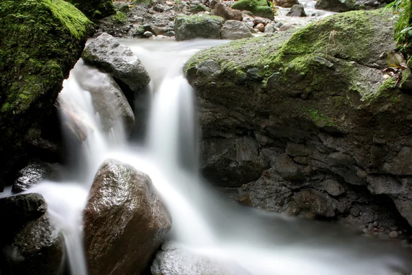 stock image Cascade