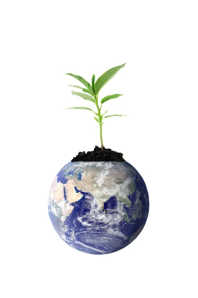 New life for mother earth — Stock Photo, Image
