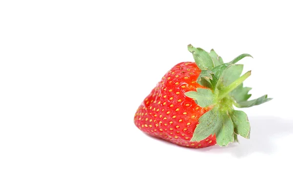 单个草莓 — 图库照片