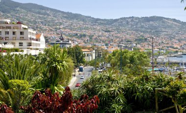 View of Funchal clipart