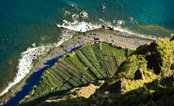 Cabo girao görünümünü — Stok fotoğraf