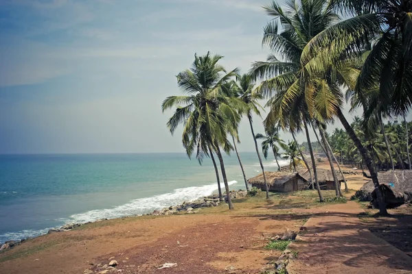 Liten väg på stranden under palmer. — Stockfoto