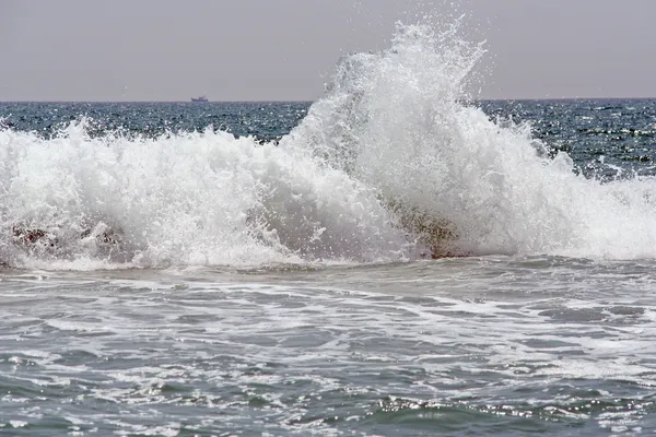 Морської хвилі . Стокове Фото