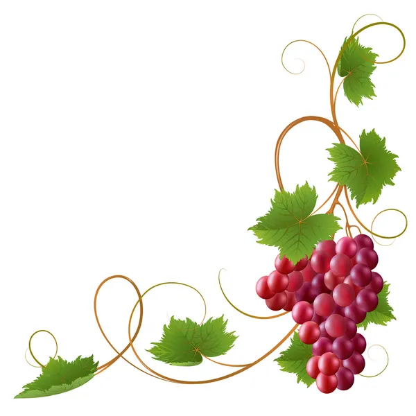 Vines Stock Vectors, Royalty Free Vines Illustrations | Depositphotos®