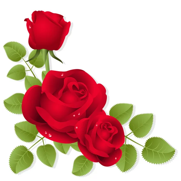 Red roses vector Stock Vectors, Royalty Free Red roses vector ...