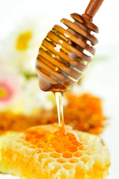 Méz jar és a méhsejt — Stock Fotó