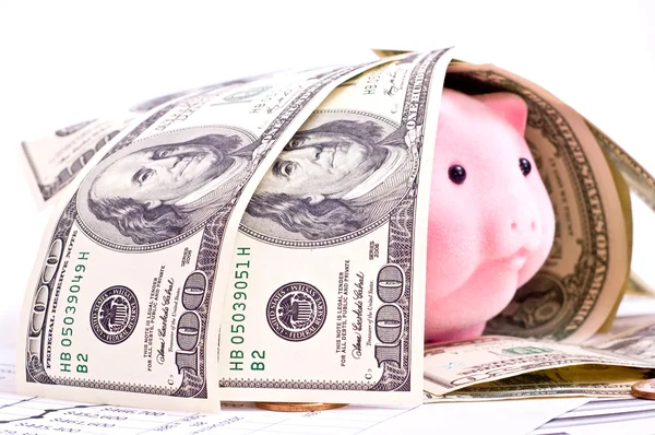 Доллары и свинья — стоковое фото