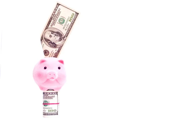 Cerdo con dólares americanos —  Fotos de Stock