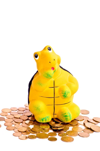 Tartaruga e dinheiro — Fotografia de Stock
