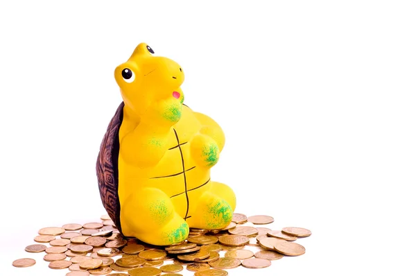 Schildpad en geld — Stockfoto