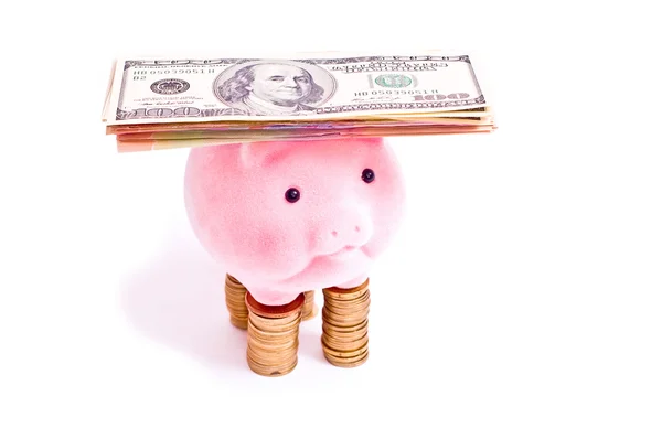 Rich pig — Stock Photo, Image