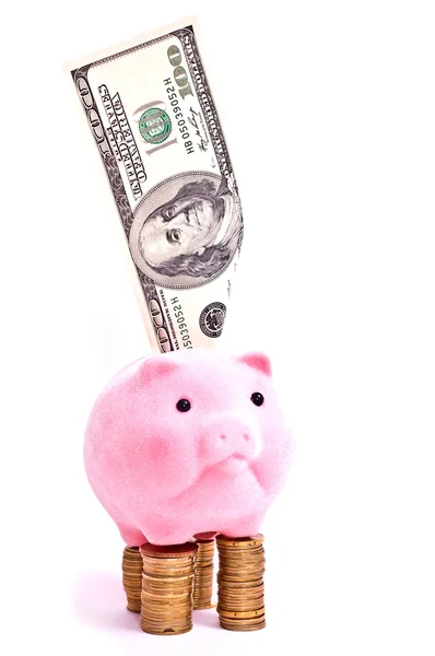 Pig on dollars — Stock Photo, Image