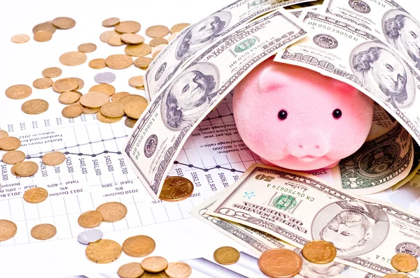 Dollars and pig — Stock Photo, Image