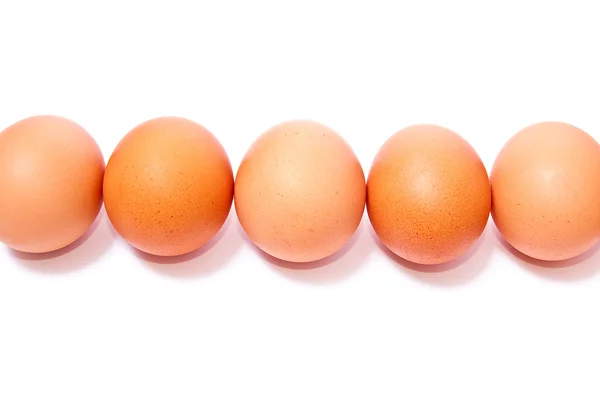Ряд из яиц — стоковое фото