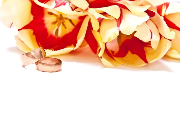 Tulips and rings — Stock Photo, Image