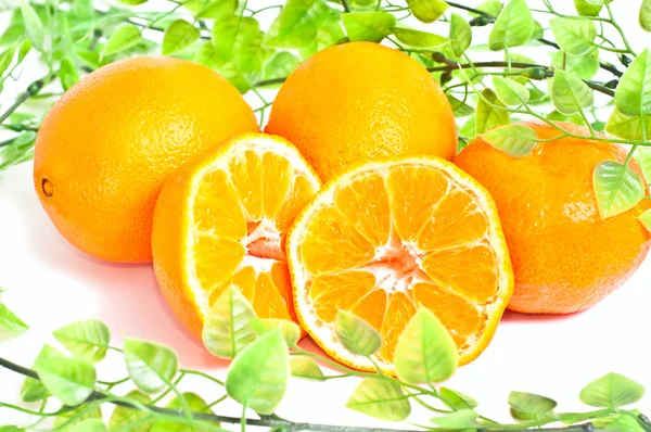 Muitas laranjas — Fotografia de Stock