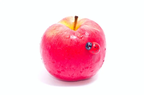 Apfel und Marienkäfer — Stockfoto