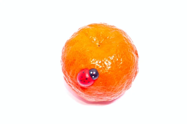 Mandarina y mariquita —  Fotos de Stock