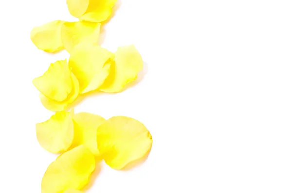 Желтые лепестки — стоковое фото
