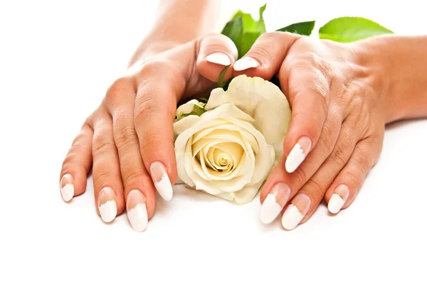 Kobiece dłonie i kwiat — Zdjęcie stockowe