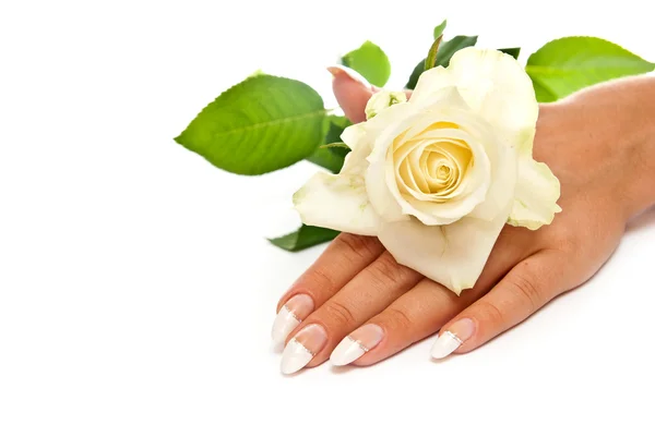Ręka z różą — Zdjęcie stockowe