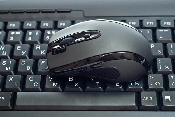 Rato no teclado do PC — Fotografia de Stock