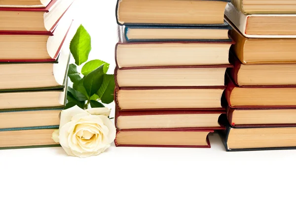 Роза и книги — стоковое фото