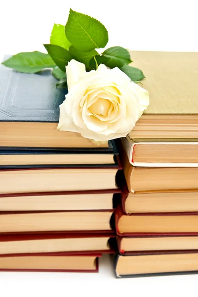 Роза и книги — стоковое фото