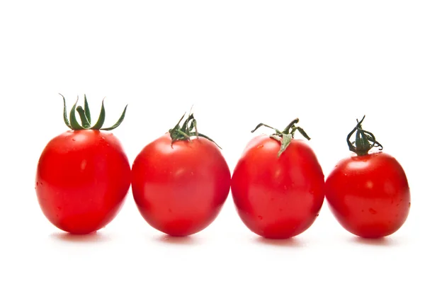 Řádek z rajčat — Stock fotografie