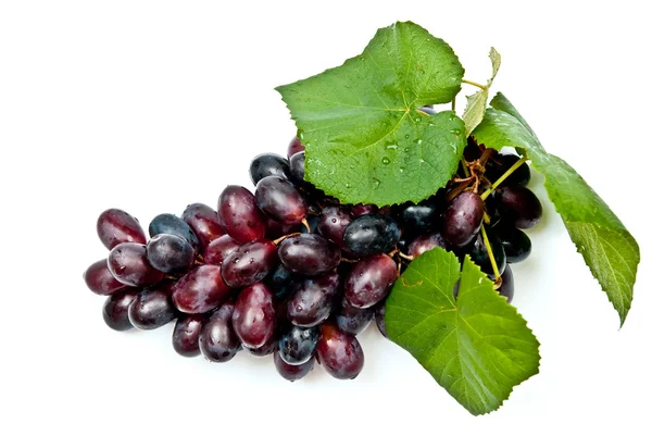 Grape with leaves — Stock Photo, Image