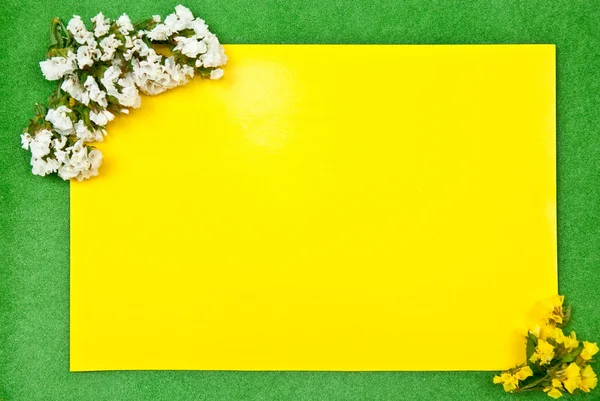 Carton jaune — Photo