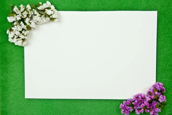 Tarjeta de felicitación blanca — Foto de Stock