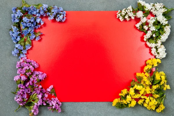 赤い紙の空白 — ストック写真