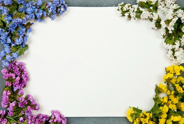 Beyaz kağıt boş — Stok fotoğraf