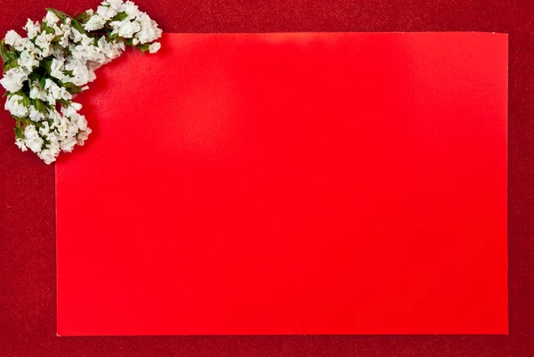 Kırmızı tebrik kartı — Stok fotoğraf